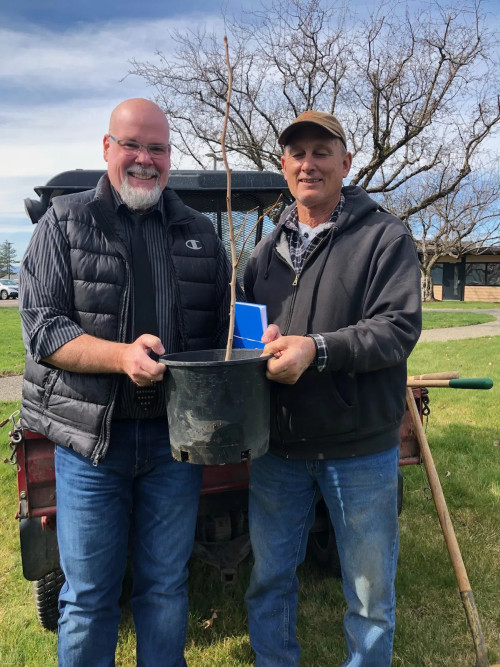 Two men holding the Ginkgo sapling in an pot